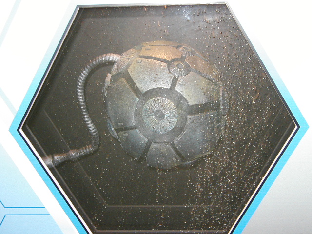 �傫���̓o�X�P�b�g�{�[����菭���傫�߁H